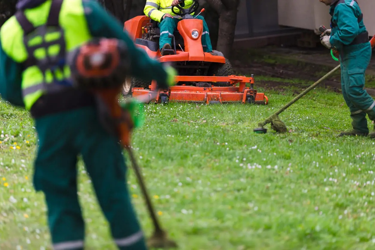 Contact Turf Installation of Mansfield