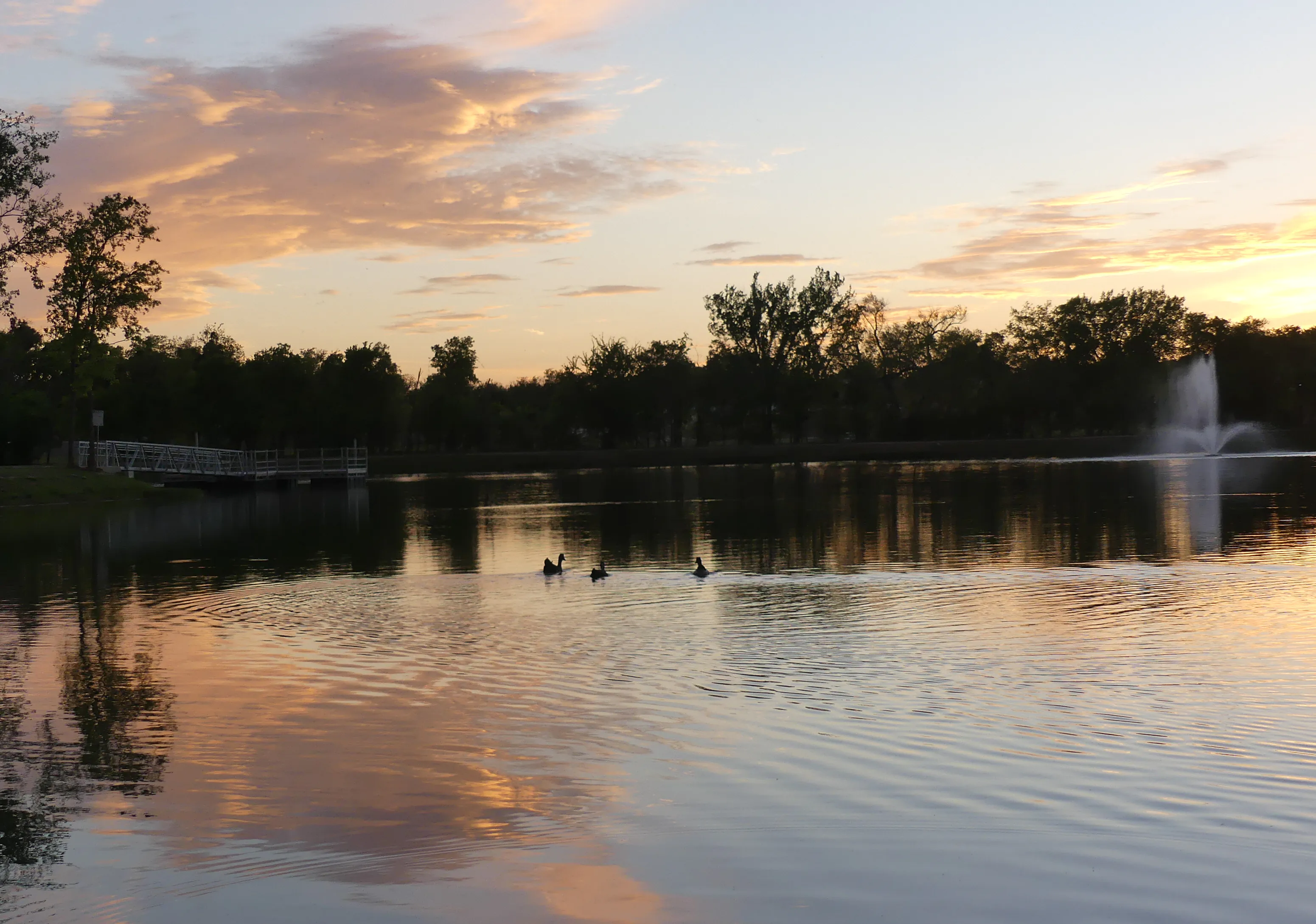 Artificial turf installation in Burleson, TX