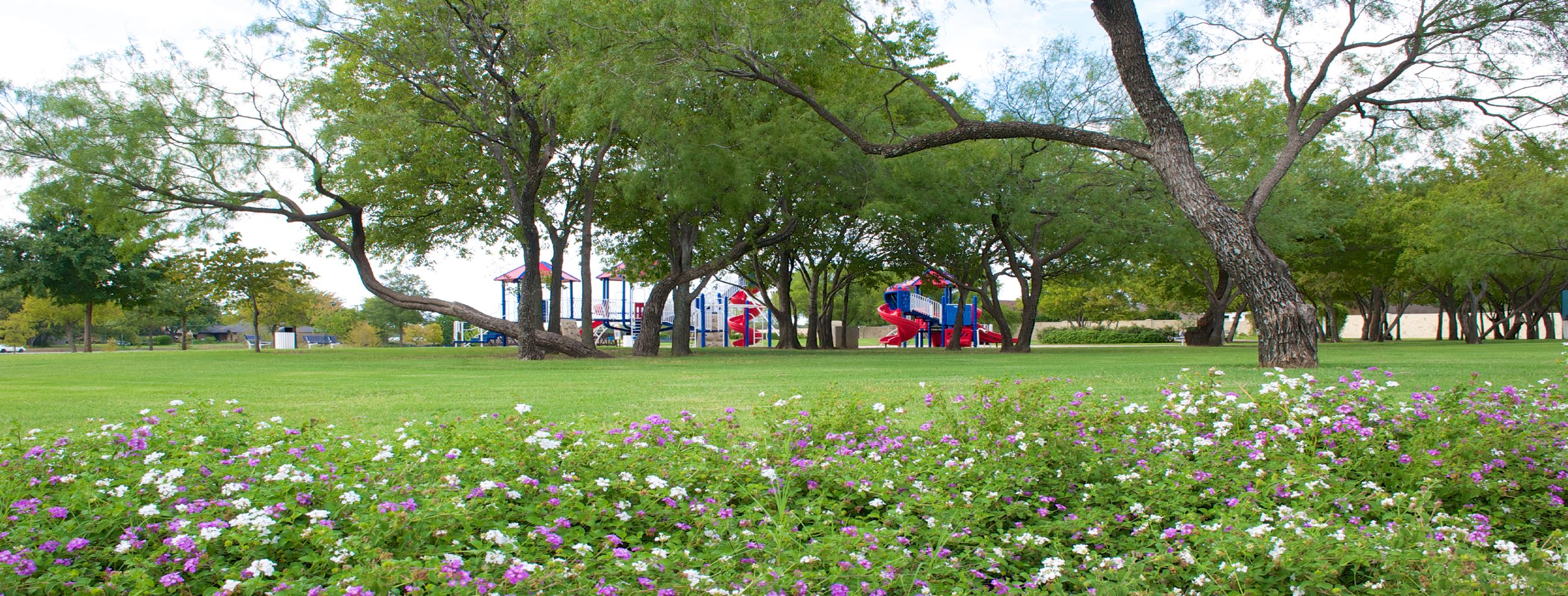 Turf installation in North Richland Hills, TX