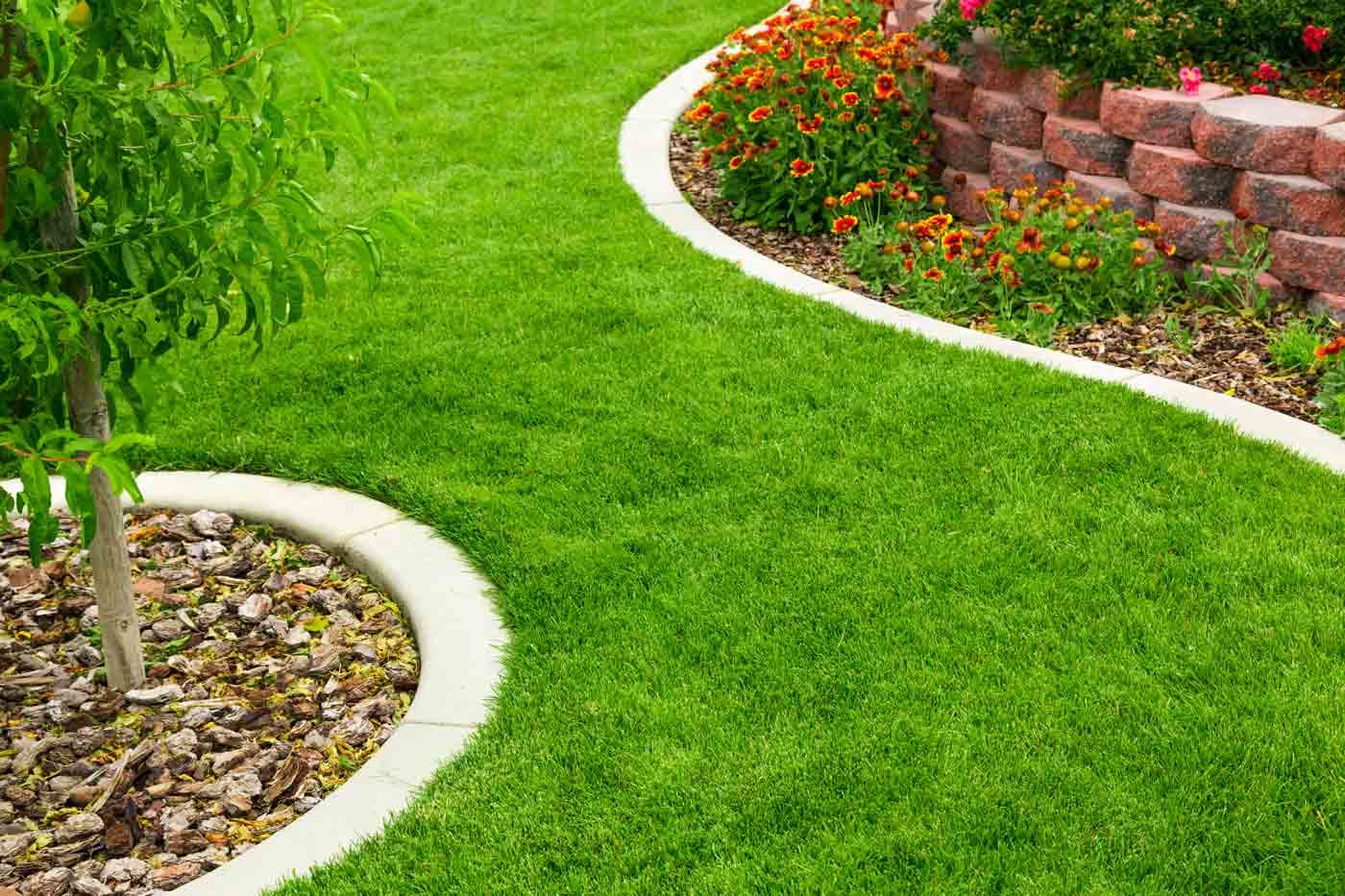Artificial Turf Services In Mansfield