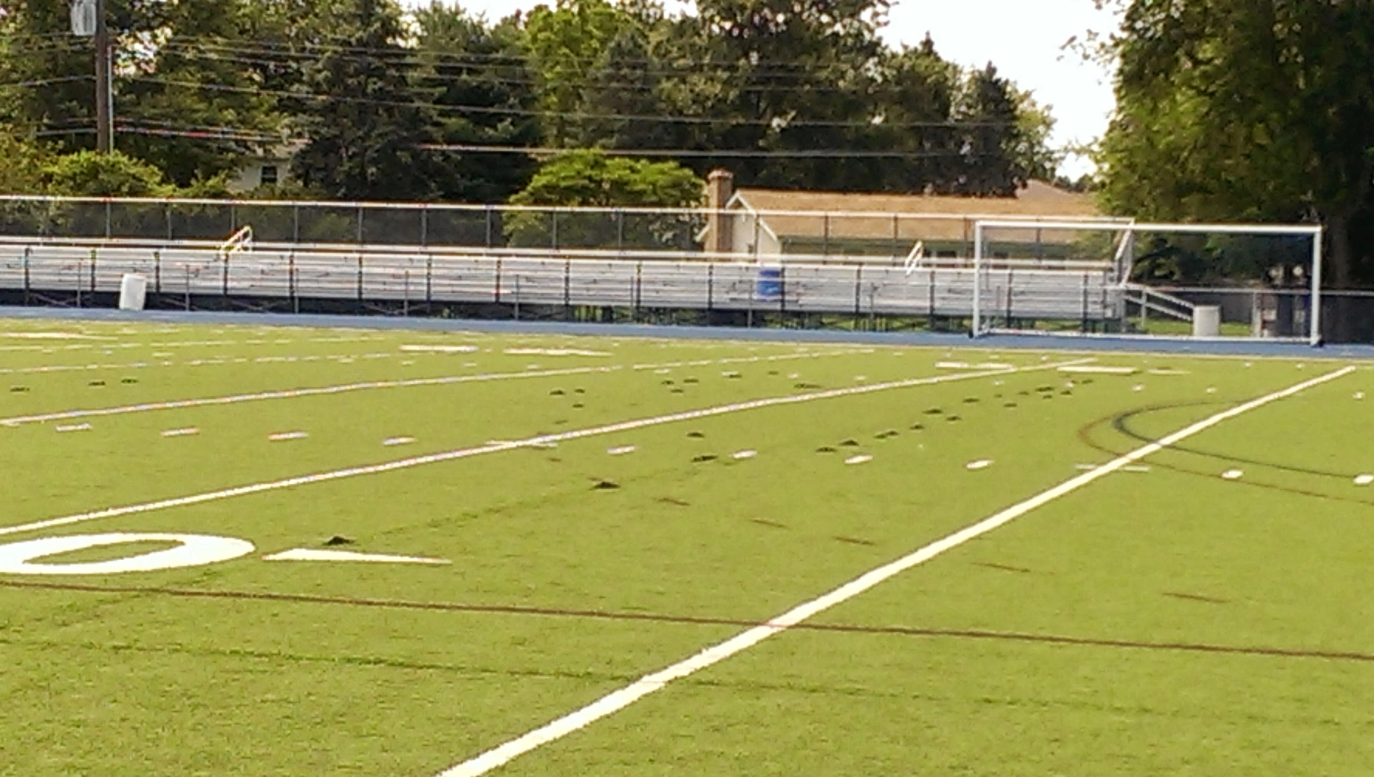 Artificial Turf Services In Mansfield