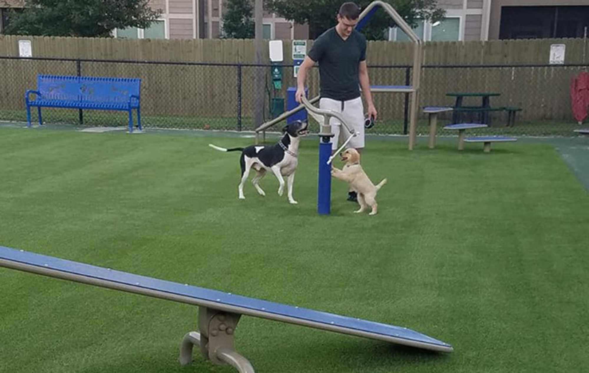 Synthetic Lawn Consultation